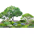 Lush Arbor Trees in Garden with Colorful Flowers and Green Shrubs