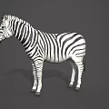 Modern Zebra Modern Realistic Animal Reptile Zebra 3d model