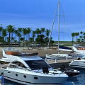 Stylish Swing Door Design In Yacht Marina With Sandy Beach And Palm Trees