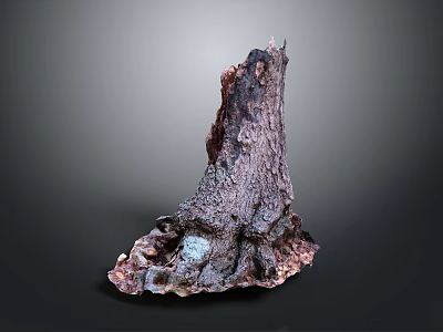 Natural Tree Stump Decorative Piece With Rough Surface Dark Purple And Light Tones 3d model