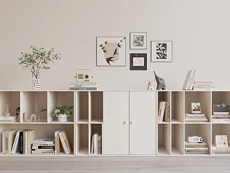 Modern bookcase 3d model