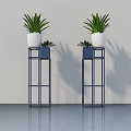 Bonsai Potted Plants in White Pots on Blue Metal Plant Stands Indoor Decorative