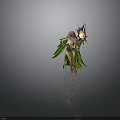 Fantasy Female Character In Green Cape With Glowing Star Staff And Golden Outfit