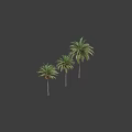 Three Palm Trees With Tall Trunks And Lush Green Fronds