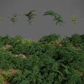 Lush Green Shrubs In Various Forms Creating Natural Landscape With Dark Background