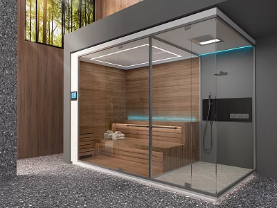 Modern Shower Sauna Interior Design With Glass Enclosure Wooden Walls And Seats 3d model