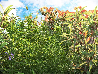 Lush Green Shrubs With Vibrant Orange And Yellow Flowers Under Bright Blue Sky 3d model
