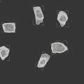 Six Brown Wooden Stone Pieces With Various Shapes And Textured Surfaces On Black Background