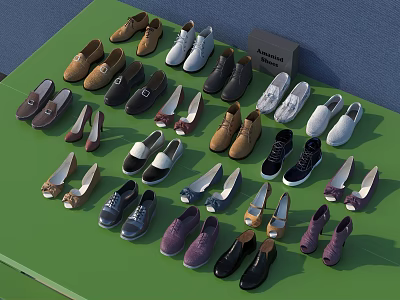 Assorted Women and Men Shoes Collection with Various Styles Colors on Green 3d model