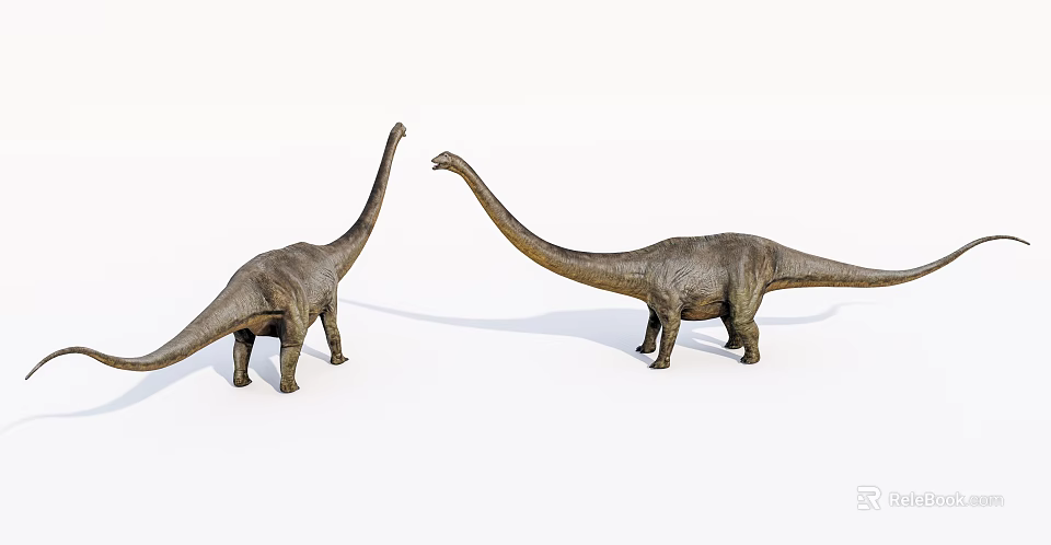 Realistic Brown Reptile Models With Long Necks And Detailed Skin On White Background 3d model 