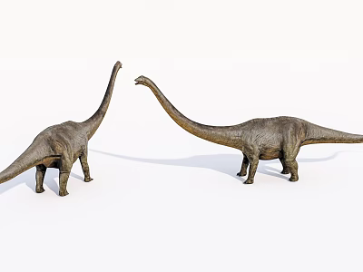 Realistic Brown Reptile Models With Long Necks And Detailed Skin On White Background 3d model