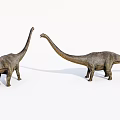 Realistic Brown Reptile Models With Long Necks And Detailed Skin On White Background