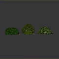 Three Green Spherical Plants With Lush Foliage On Gray Shiny Background 3d model