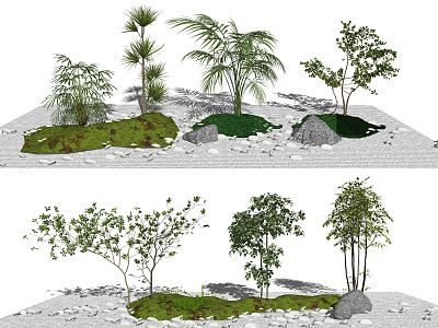 Modern landscape sketch plant green plant landscape tree model