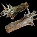 Natural Weathered Wood Stumps With Stone Like Texture And Organic Design
