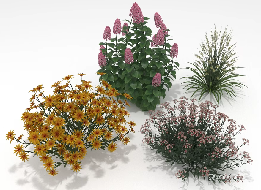 Diverse Garden Plants Featuring Purple Yellow Flowers And Green Leafy Foliage 3d model 