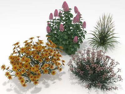 Diverse Garden Plants Featuring Purple Yellow Flowers And Green Leafy Foliage 3d model