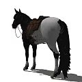 Black Mane Horse Standing With Saddle And Equipment On Body