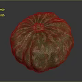 Green Pumpkin With White Spots Fresh Round And Healthy Organic Produce