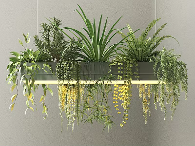 Modern Pendant Light With Hanging Green Plants And Various Foliage For Home Decor 3d model