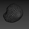 White Porous Coral With Intricate Hole Pattern Isolated On Black Background