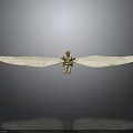 Human Figure With Large White Wings Symbolizing Space Exploration And Celestial Voyage 3d model