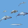 Various Aquatic Fish Species Swimming In Blue Ocean Water With Spotted Patterns And Slender Bodies