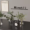Modern Aquatic Plants in Glass Vases for Minotti Interior Decor