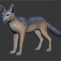 Realistic Brown and Gray Jackal Figure Standing on Dark Reflective Ground