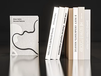 Books and Vanity Fair Magazine with Minimalist Line Cover and Various Titles 3d model