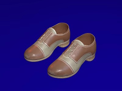 Stylish Pair of Brown and Beige Spliced Leather Shoes on Blue Background 3d model