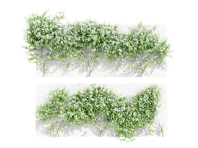 Climbing Vines With Lush Green Leaves And White Blossoms For Natural Wall Decoration 3d model