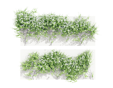 Modern Vine 3d model