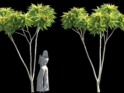 Tall Trees With Green Yellow Leaves And White Trunks Near Robed Figure 3d model