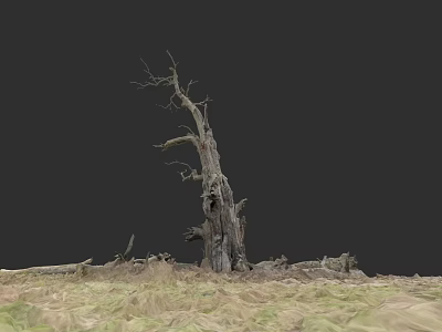 Plant Painting Featuring Withered Tree On Dark Background With Grass And Dead Branches 3d model