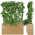 Decorative Ornament Combination With Lush Green Foliage Metal Grid And Wooden Planter Box