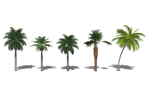 Modern Tree Tropical Landscape Tree Landscape Plant 3d model