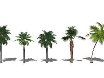 Modern Tree Tropical Landscape Tree Landscape Plant 3d model