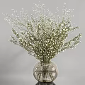 Delicate White Small Flowers with Green Branches in Transparent Glass Vase
