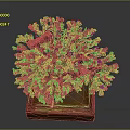 Intricate Handcrafted Coral Shaped Sculpture Carving Display On Wooden Base