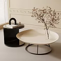 Beige Round Coffee Table With Clear Vase Dried Branches And Black Side Table 3d model