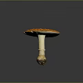 Vibrant Orange Mushroom with White Spots on Cap and White Stem Having Soil at Base