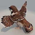 Realistic Sparrow High Precision Bird Flying Bird 3d model