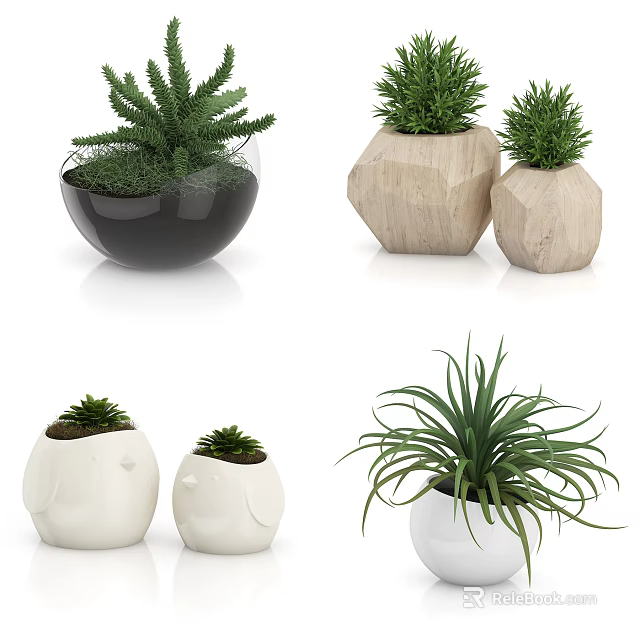 Bonsai Potted Plants with Green Foliage in Ceramic Wooden Glass Planters 3d model 