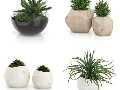 Bonsai Potted Plants with Green Foliage in Ceramic Wooden Glass Planters 3d model