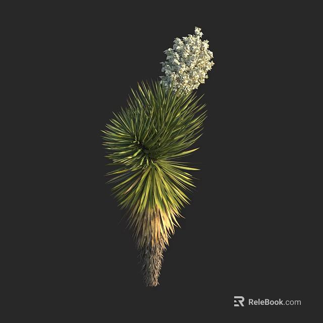 Yucca Plant With Green Spiky Leaves And White Flower Cluster 3d model 