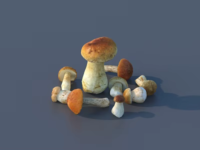 Colorful Cartoon Mushrooms Group With Various Sizes And Colors In Whimsical Scene 3d model