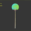 Single White Dandelion Plant With Slender Stem Isolated On Gray Background