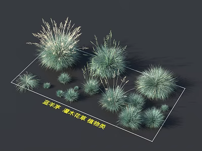 Blue Fescue Shrub Flowers and Ornamental Plants for Garden Landscaping 3d model