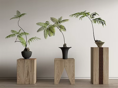 Bonsai Potted Plants With Lush Fern Leaves On Wooden Stands For Indoor Decor 3d model
